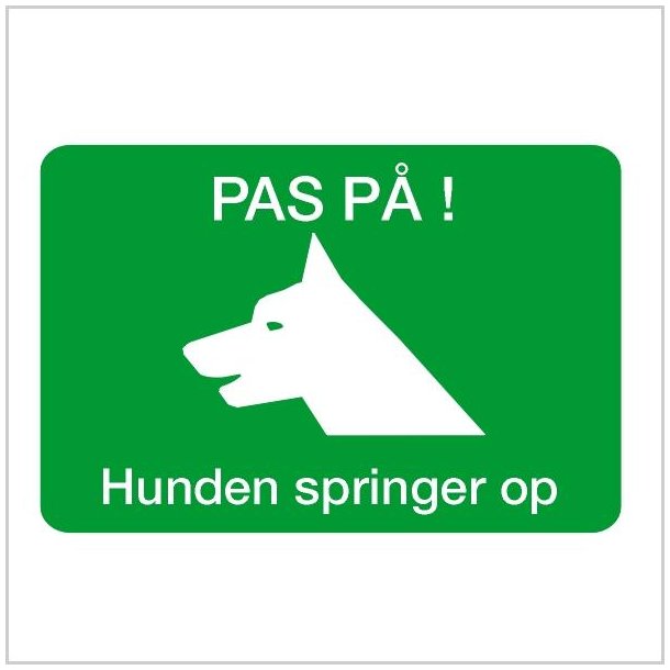 Hunden springer op