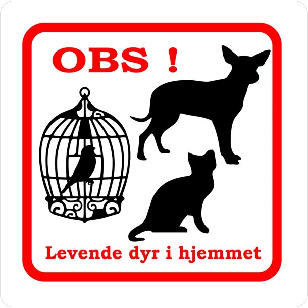 Dyr i hjemmet 