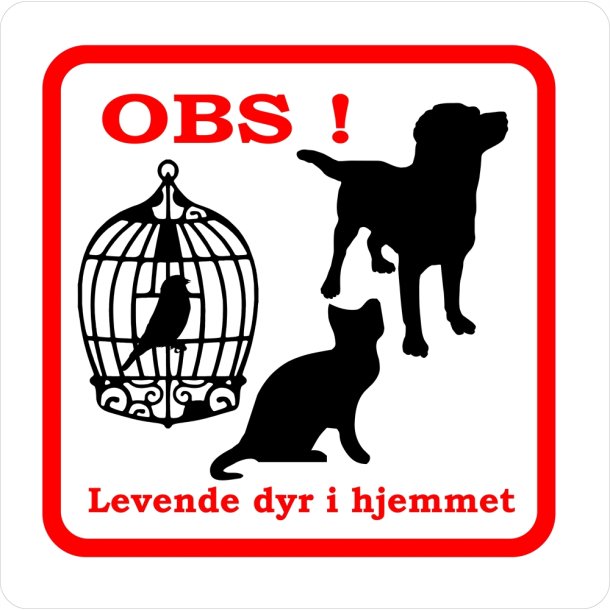 Dyr i hjemmet 