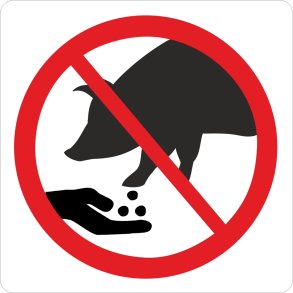 Fodring af grise forbudt