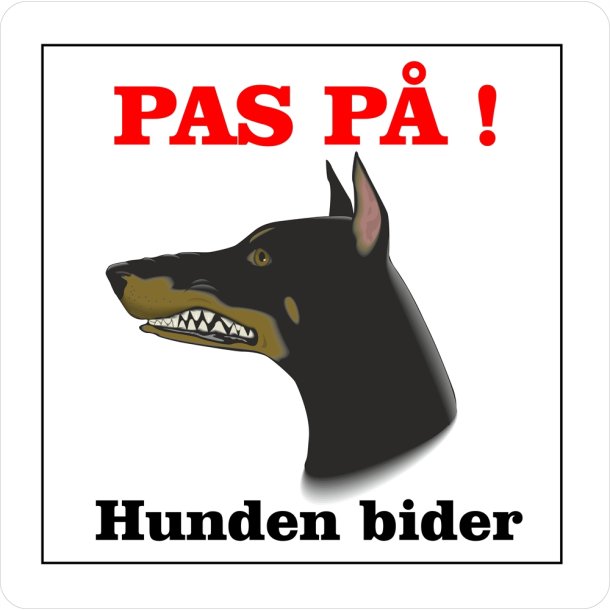 Pas p, hunden bider